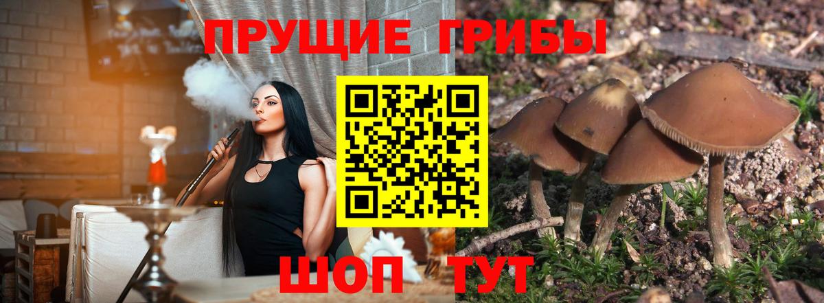 Галлюциногенные грибы ЛСД Тельмана