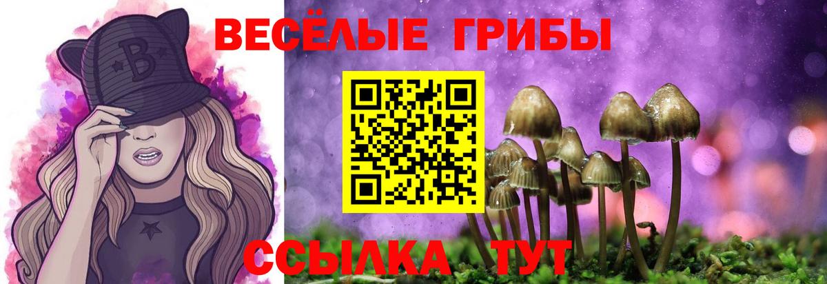 наркота  Вход с VPN  Тельмана  Галлюциногенные грибы мухоморы 